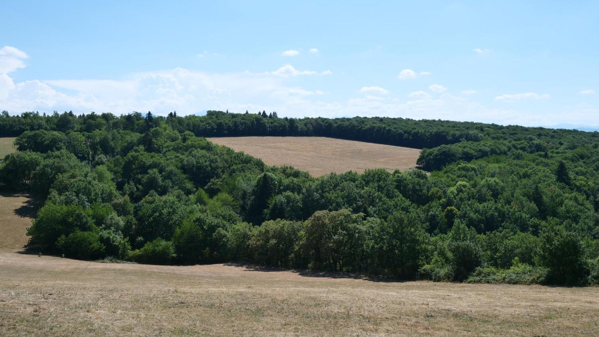 Maison Avec Vue Sur Le Lac De Montbel Buitenkant foto