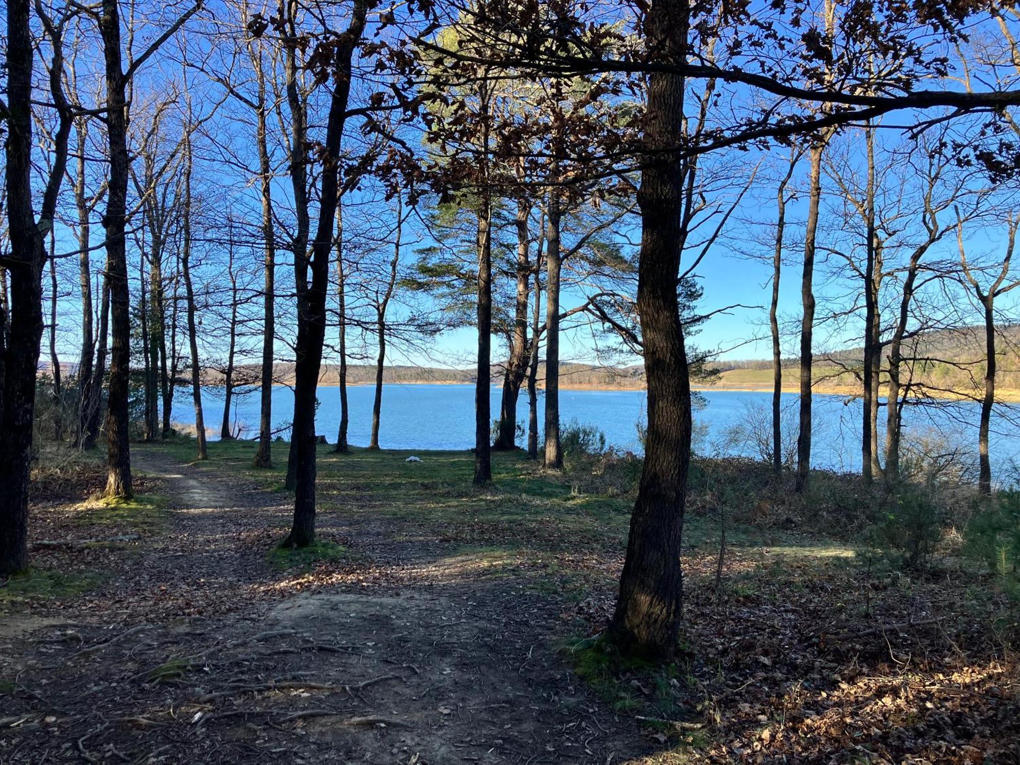 Maison Avec Vue Sur Le Lac De Montbel Buitenkant foto